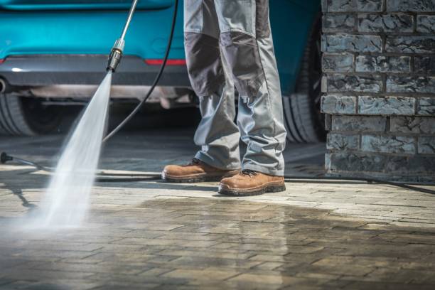 Best Soft Washing for Delicate Surfaces in Willows, CA