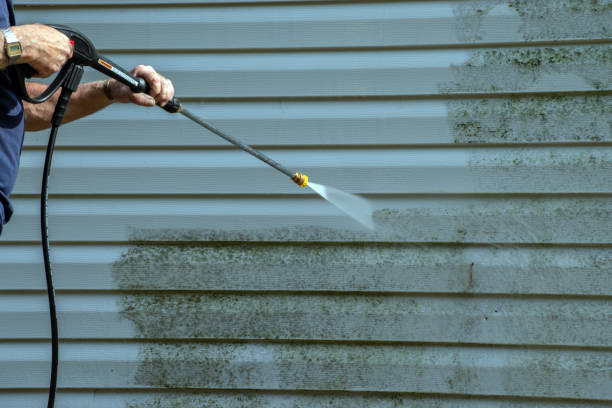 Best Building Exterior Pressure Washing in Willows, CA